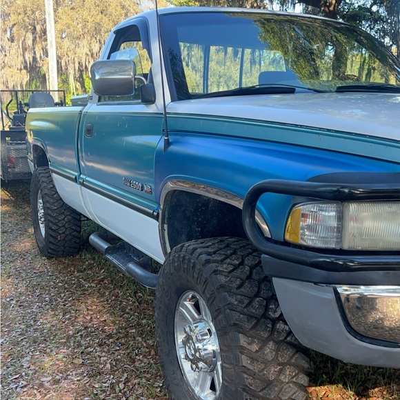 Meet your Posher, Buddy - Picture 8 of 16